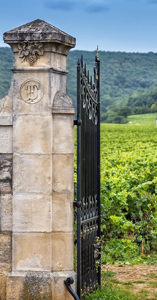 Château aux vignobles en Bourgogne
