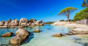 Plage de Palombaggia connue pour ses pins et son eau turquoise