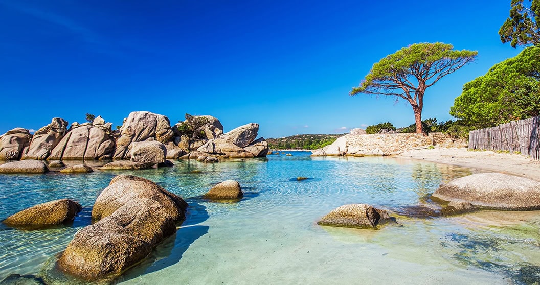 Plage de Palombaggia connue pour ses pins et son eau turquoise
