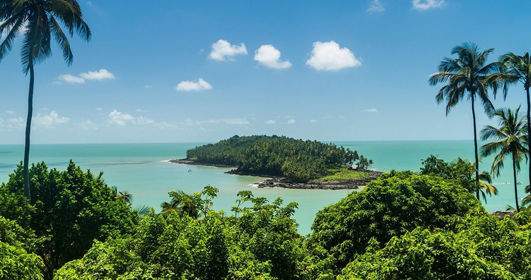 Vue sur l'île du Diable de l'île Royale, en Guyane française, entourée de palmiers et d'eau turquoise