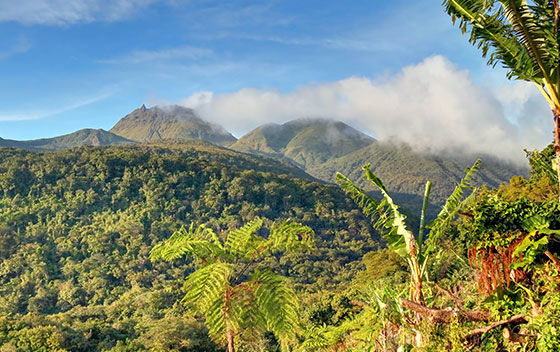 Volcan La Soufrière en Guadeloupe dans les Caraïbes