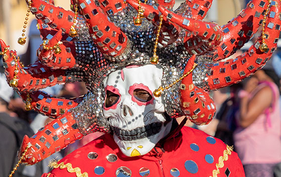 Un habitant de Saint-Anne masqué pour le Carnaval