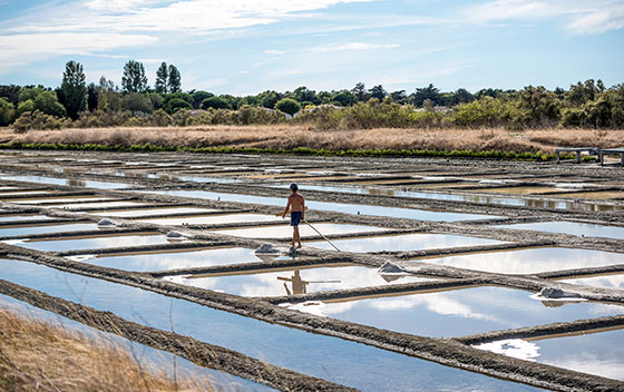Vue des marais salants de l'île de Ré sur un motif en grille avec quelques petits tas de sel blanc et la silhouette du saunier