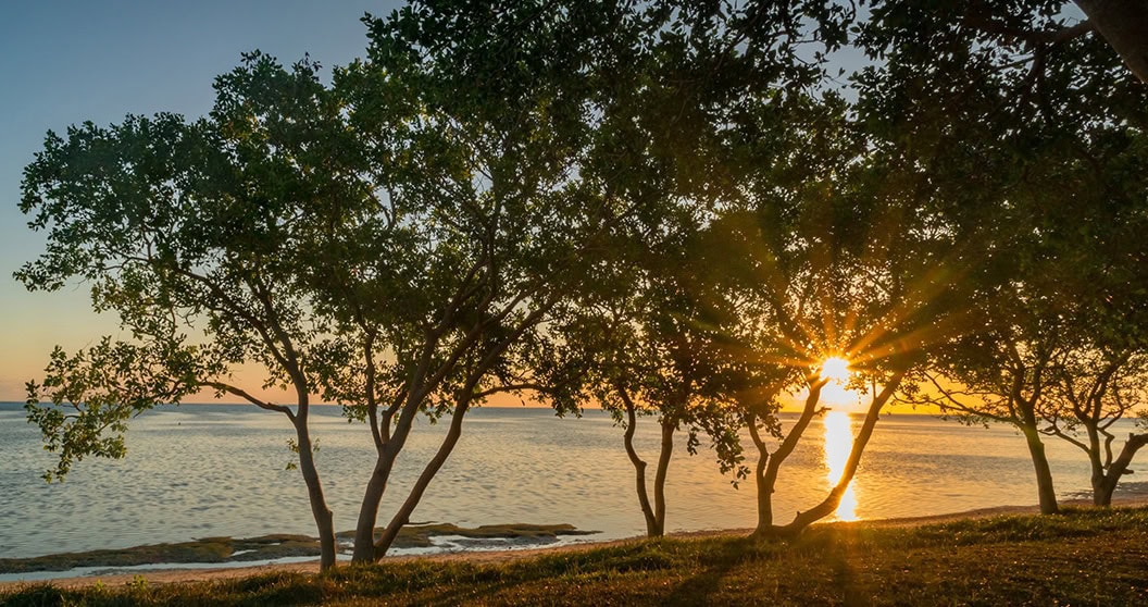 Coucher de soleil sur la plage, rayons de lumière traversant des arbres tropicaux