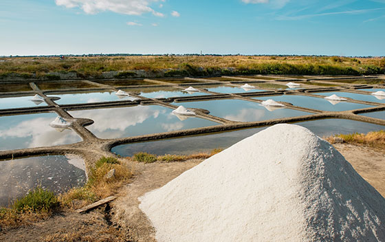 Les marais salants de Guérande