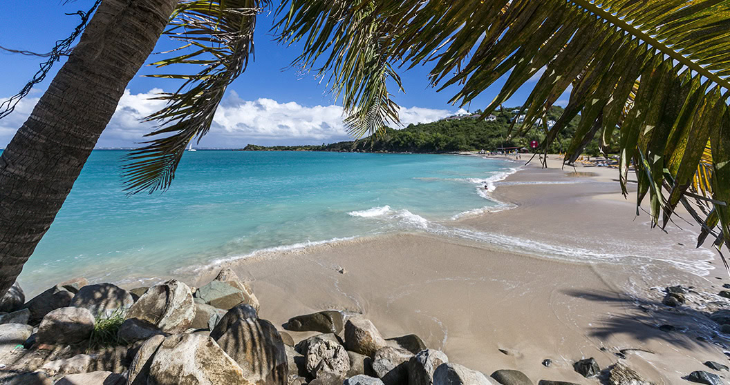 Plage paradisiaque de Saint-Martin : sable fin, palmier, ciel bleu et eau turquoise