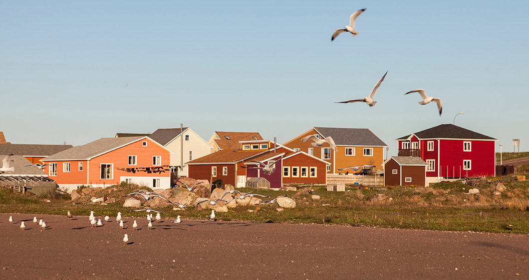 Panorama sur Saint-Pierre : maisons colorées et mouettes qui volent