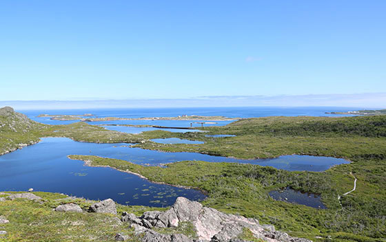 Nature calme et vue sur la mer à Saint-Pierre